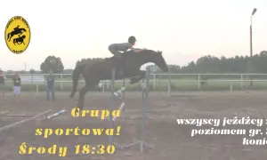 Jeździec na koniu pokonuje przeszkodę na placu treningowym.