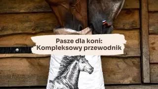 Dwa konie jedzą z worka paszę. Obok napis "Pasze dla koni: Kompleksowy przewodnik" i rysunek konia.