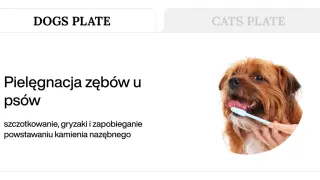 Jak dbać o zęby psa? Szczotkowanie, gryzaki i zapobieganie kamieniowi nazębnemu. Uroczy piesek z niebieską szczoteczką.
