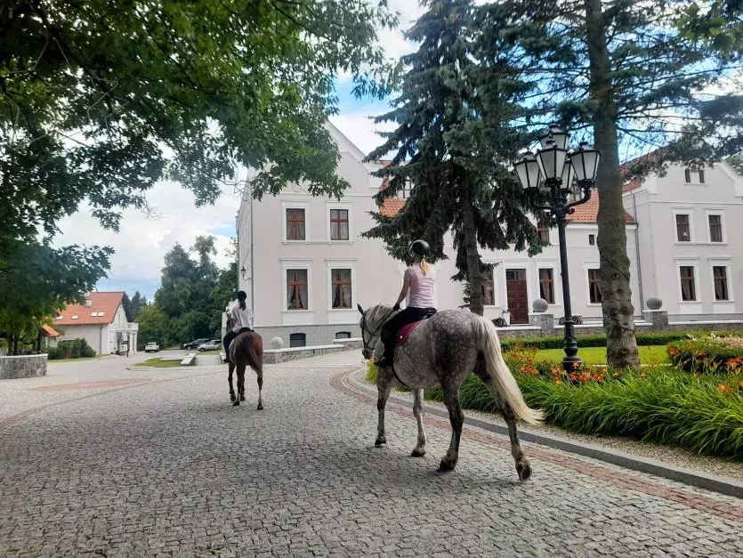 Najlepsze stadniny koni w Jaworznie - usługi, opinie i lokalizacja