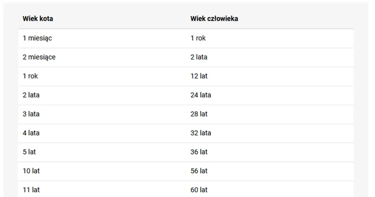 Tabela porównująca wiek kota i człowieka. Dowiedz się, ile ludzkich lat ma Twój kot, gdy skończy 15 lat.