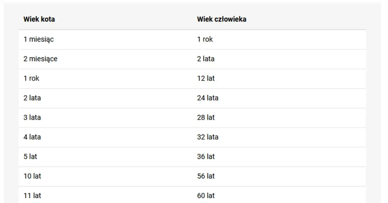 Tabela porównująca wiek kota i człowieka. Dowiedz się, ile ludzkich lat ma Twój kot, gdy skończy 15 lat.