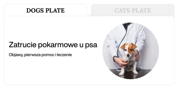 Weterynarz bada psa, który może mieć pierwsze objawy zatrucia pokarmowego.