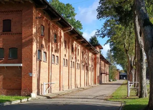 Długa, ceglana stajnia w Starogardzie Gdańskim, gdzie kiedyś stacjonował stado ogierów. Aleja drzew prowadzi do budynków.