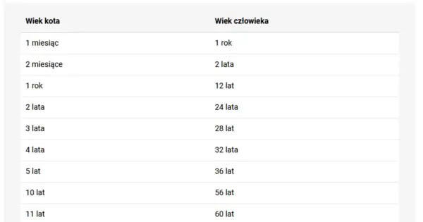 Tabela porównująca wiek kota i człowieka. Dowiedz się, ile ludzkich lat ma Twój kot, gdy skończy 15 lat.